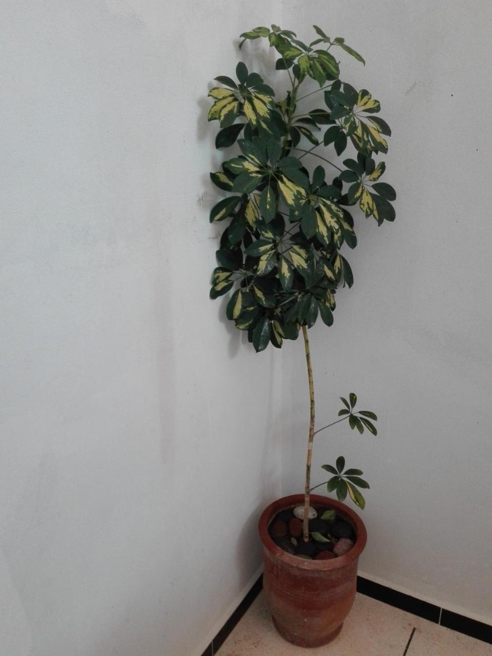 Asklou Appartement A Mirleft Zewnętrze zdjęcie